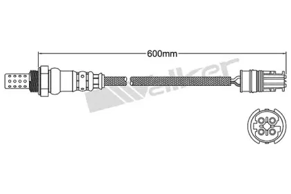 walkerproducts-25024713