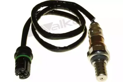 walkerproducts-25024713
