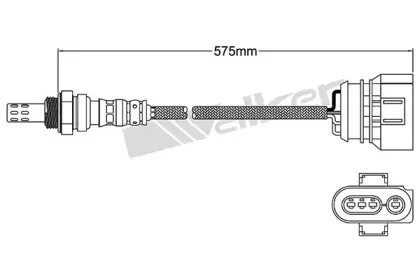 walkerproducts-25024719