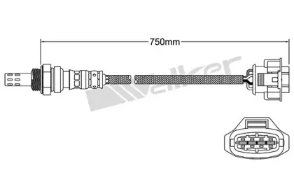 walkerproducts-25024733