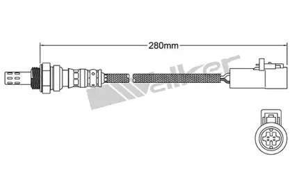 walkerproducts-25024749