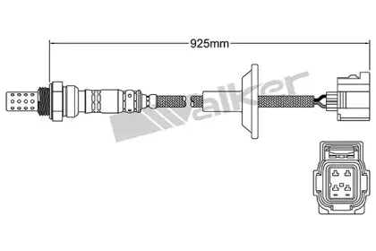 walkerproducts-25024751