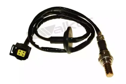 walkerproducts-25024751