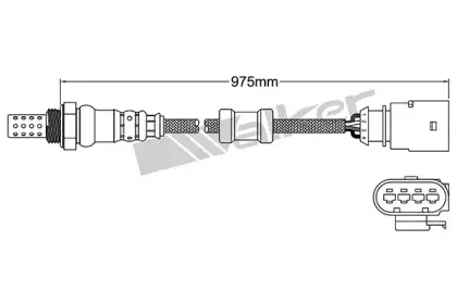 walkerproducts-25024755