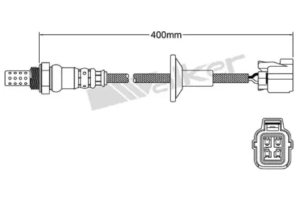 walkerproducts-25024757