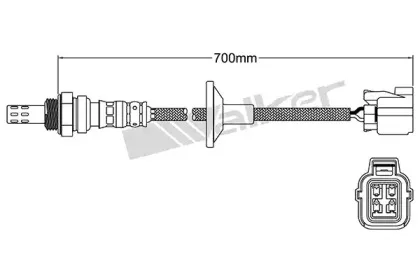 walkerproducts-25024758