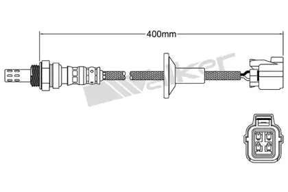walkerproducts-25024759
