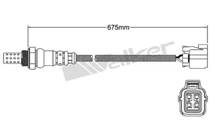 walkerproducts-25024764