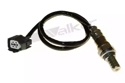 walkerproducts-25024764