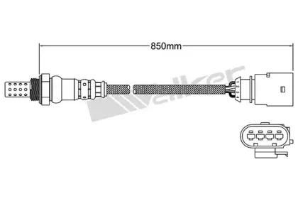 walkerproducts-25024767