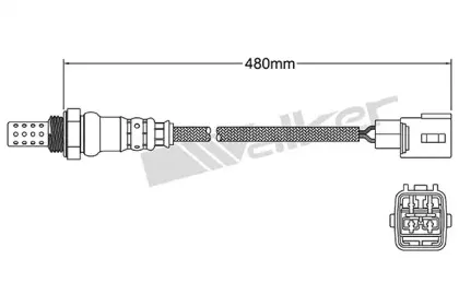 walkerproducts-25024777