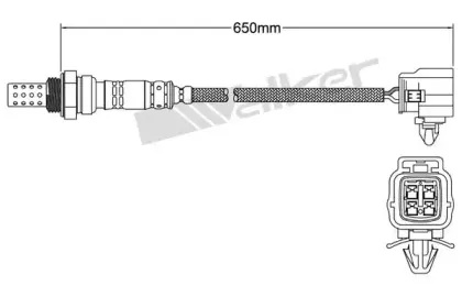 walkerproducts-25024782