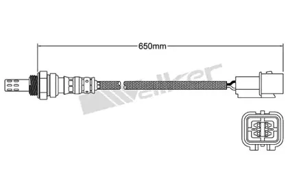 walkerproducts-25024783
