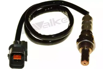 walkerproducts-25024783