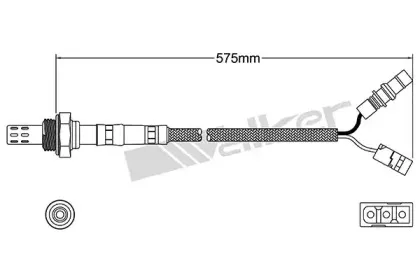 walkerproducts-25024792