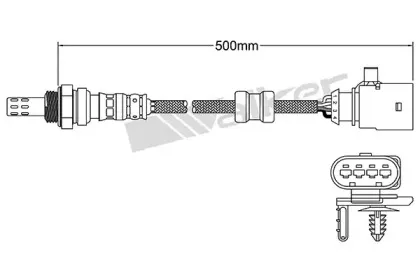 walkerproducts-25024797