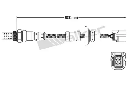 walkerproducts-25024798