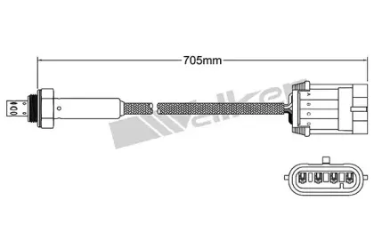 walkerproducts-25024806