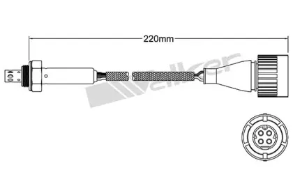 walkerproducts-25024809