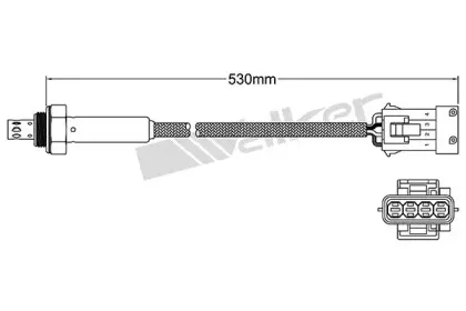 walkerproducts-25024814