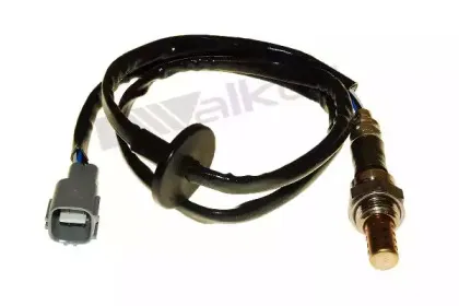 walkerproducts-25024840