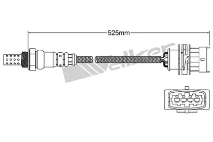 walkerproducts-25024847