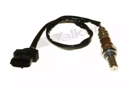 walkerproducts-25024847