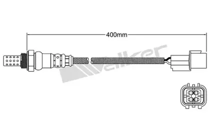 walkerproducts-25024849