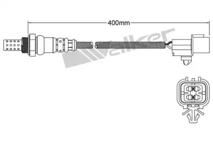 walkerproducts-25024850