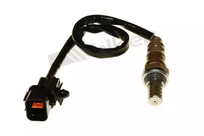 walkerproducts-25024850