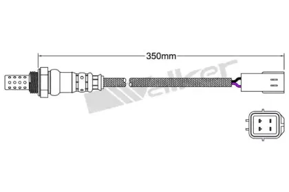 walkerproducts-25024851