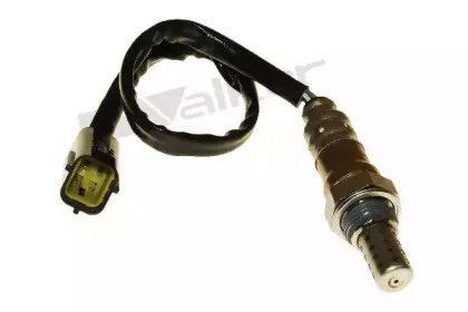 walkerproducts-25024851
