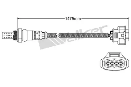 walkerproducts-25024853