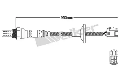walkerproducts-25024855