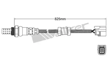 walkerproducts-25024856