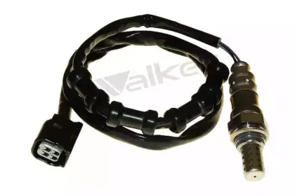 walkerproducts-25024856