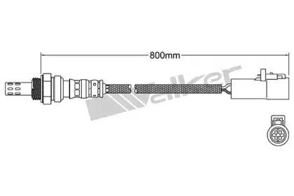 walkerproducts-25024858