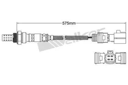 walkerproducts-25024870