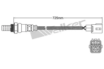 walkerproducts-25024889