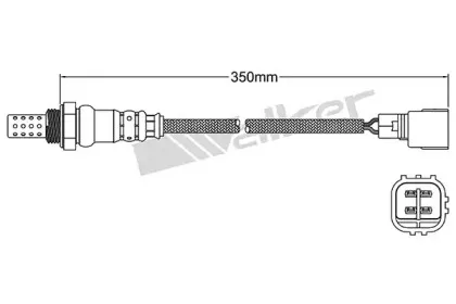 walkerproducts-25024906