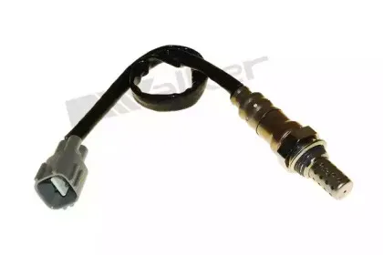 walkerproducts-25024906