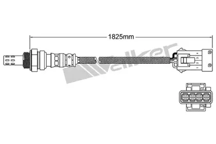 walkerproducts-25024921