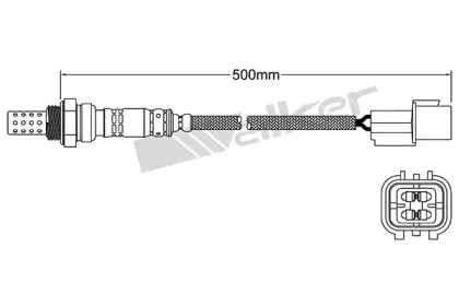 walkerproducts-25024933