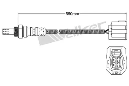 walkerproducts-25024937