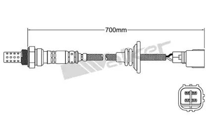 walkerproducts-25024938