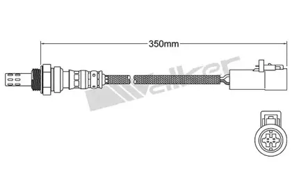 walkerproducts-25024939