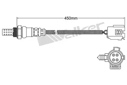 walkerproducts-25024946