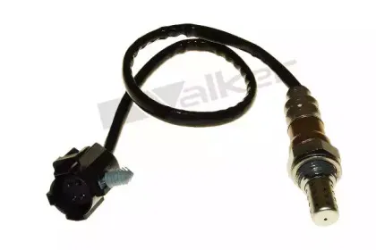 walkerproducts-25024946