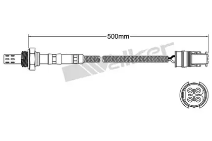 walkerproducts-25024952