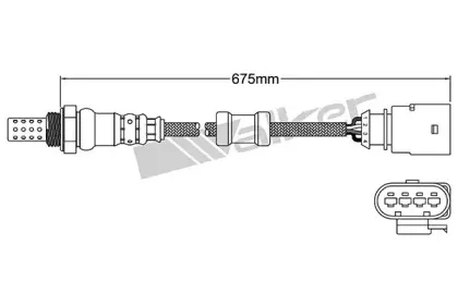 walkerproducts-25024955